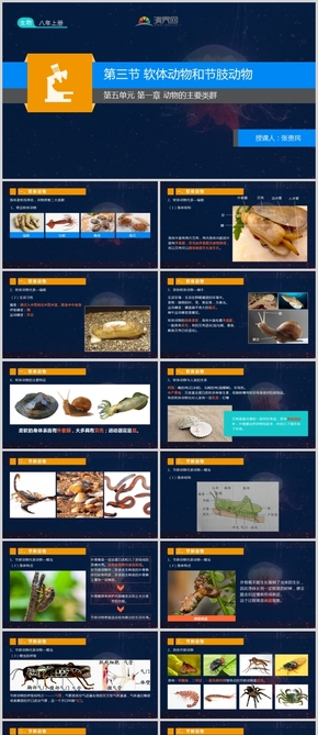 人教版生物八年級上冊第五單元第一章第三節(jié)軟體動(dòng)物和節(jié)肢動(dòng)物