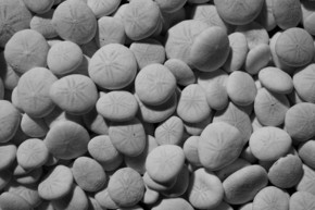 【圖片分享計劃】石頭