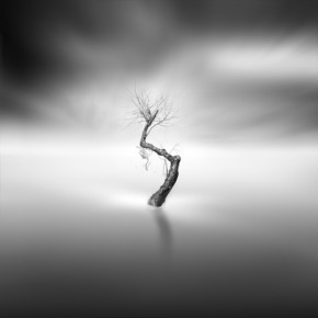 【圖片分享計(jì)劃】風(fēng)景