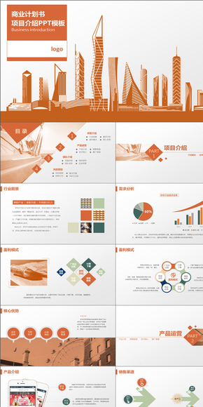 商業(yè)策劃計劃書項目匯報PPT模板