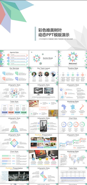 唯美彩色樹(shù)葉花瓣工作總結(jié)商業(yè)創(chuàng)業(yè)計(jì)劃書動(dòng)態(tài)PPT模版
