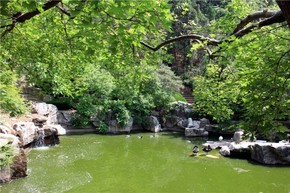 【圖片分享計(jì)劃】風(fēng)景