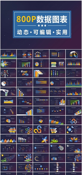 800P商務數據統(tǒng)計分析動態(tài)PPT圖表大全