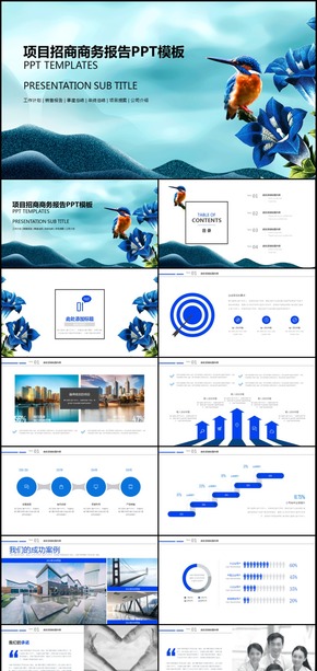項(xiàng)目招商商務(wù)匯報(bào)通用PPT動(dòng)態(tài)模板