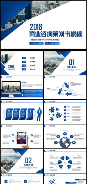 2018年商業(yè)咨詢計劃書PPT通用模板