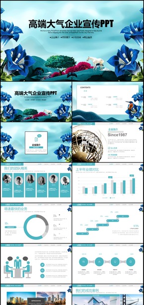 大氣公司簡介企業(yè)宣傳PPT模板