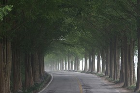 【圖片分享計劃】路途05