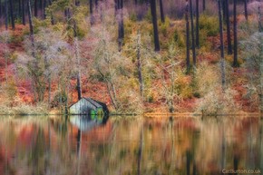 【圖片分享計(jì)劃】風(fēng)景