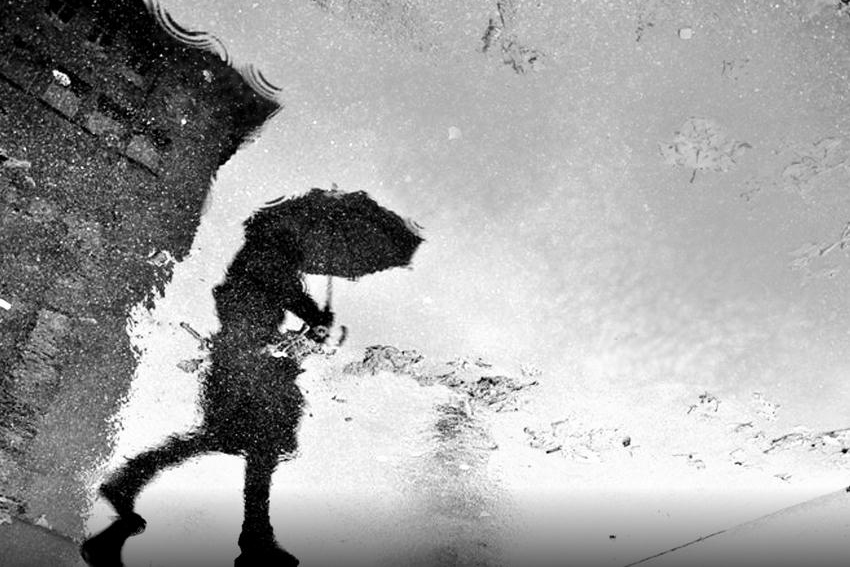 【圖片分享計劃】雨中