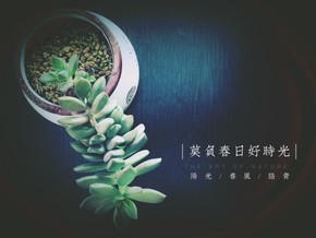 【圖片分享計劃】莫負(fù)春日好時光2