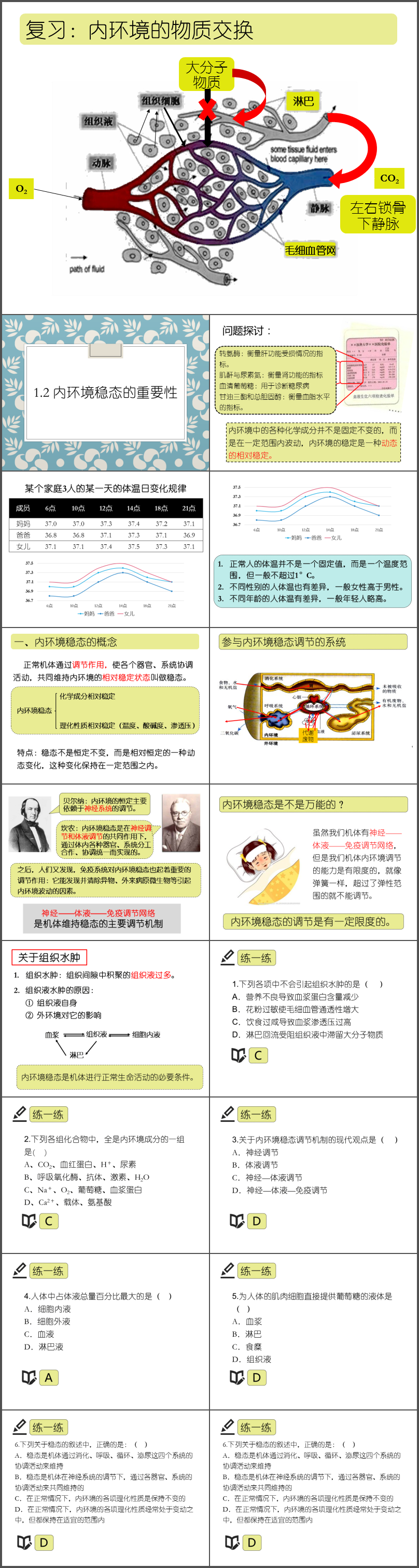 人教版高中生物必修三《內(nèi)環(huán)境穩(wěn)態(tài)的重要性》教學(xué)課件