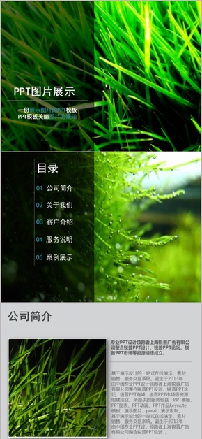 清新風格商務(wù)簡約PPT模板
