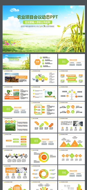 農業(yè)部門農業(yè)項目匯報PPT策劃方案莊稼農田種植業(yè)農作物秋季五谷雜糧小麥