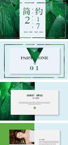  [Win in details] High end Fresh 2017 Green Work Report PPT template