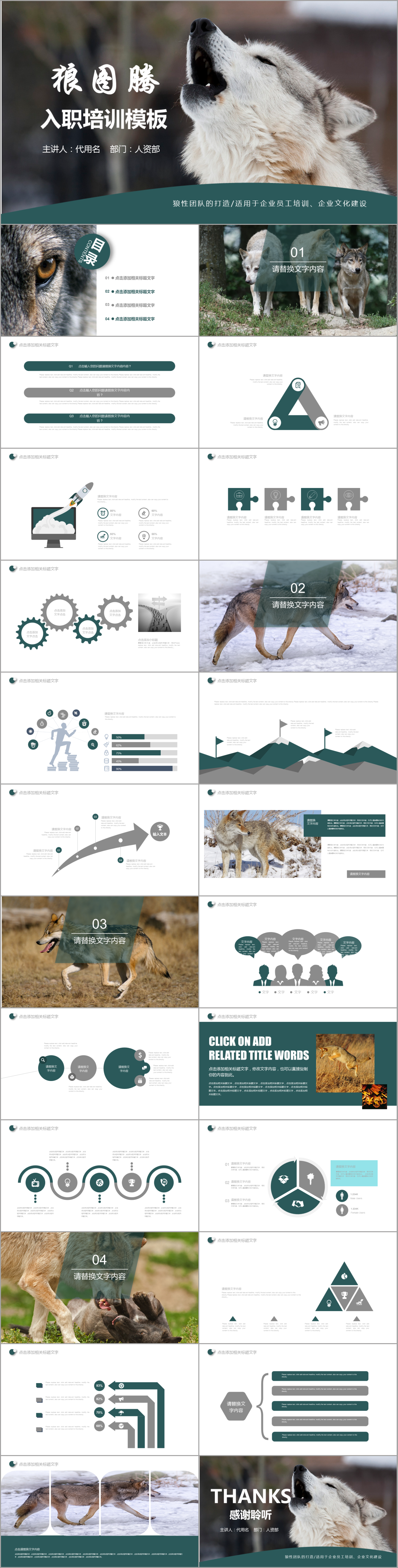 狼圖騰企業(yè)公司員工培訓(xùn)入職企業(yè)文化團(tuán)隊(duì)建設(shè)團(tuán)隊(duì)合作案例教育課件狼群狼性團(tuán)隊(duì)打造主題PPT模板