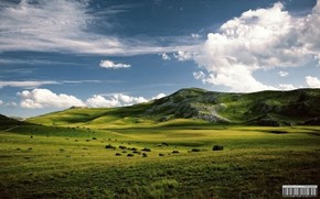 【海報(bào)分享計(jì)劃】自然風(fēng)光34