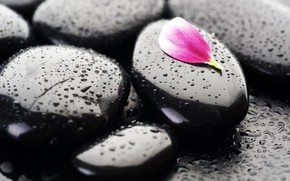 【海報(bào)分享計(jì)劃】黑色背景圖11
