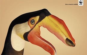 【海報(bào)分享計(jì)劃】公益環(huán)保12-鳥