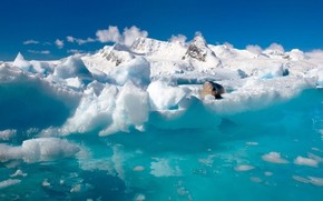 【海報分享計劃】自然風光113