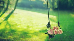 【banner分享計(jì)劃】生活 簡(jiǎn)約 自然 唯美