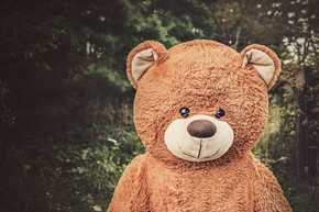 【banner分享計劃】生活 簡約 自然 唯美
