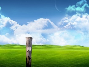 【banner分享計劃】生活 簡約 自然 唯美