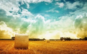 banner分享計(jì)劃】生活 簡(jiǎn)約 自然 唯美 本商品僅供參考學(xué)習(xí)，不可編輯，不得到其他網(wǎng)站售賣！