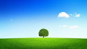 【banner分享計劃】生活 簡約 自然 唯美