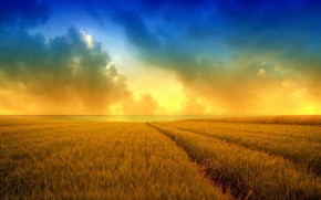 【banner分享計(jì)劃】生活 簡(jiǎn)約 自然 唯美