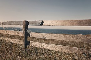【banner分享計劃】生活 簡約 自然 唯美