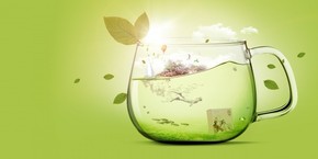 【banner分享計(jì)劃】生活 簡(jiǎn)約 自然 唯美