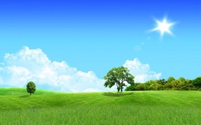 【banner分享計劃】生活 簡約 自然 唯美