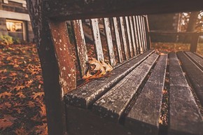 banner分享計(jì)劃】生活 簡(jiǎn)約 自然 唯美 本商品僅供參考學(xué)習(xí)，不可編輯，不得到其他網(wǎng)站售賣！