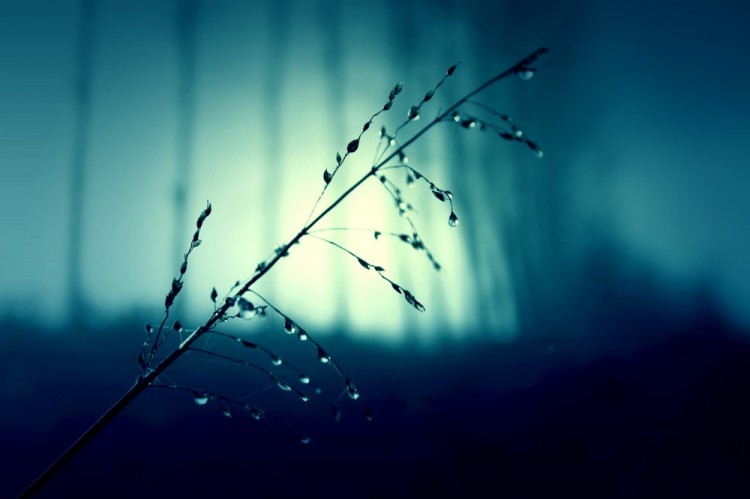 【海報分享計劃】藍色夜晚
