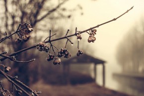 【海報分享計劃】凍雨