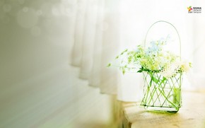 【桌面壁紙】green  flowers
