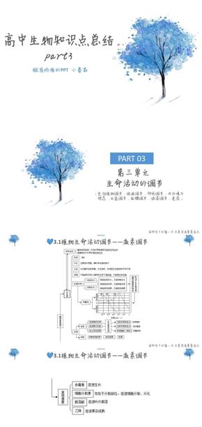 藍(lán)色小清新高中生物知識(shí)點(diǎn)總結(jié)-part3 全圖版 PPT作品