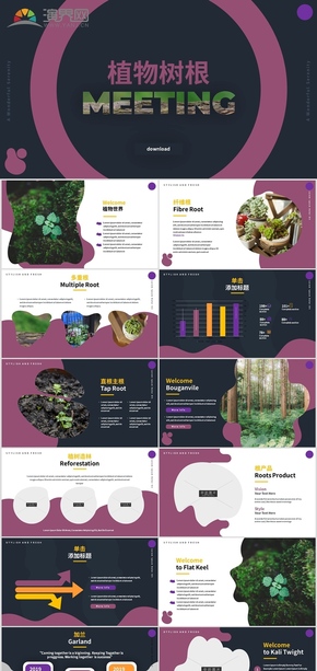 2019年植物樹(shù)根自然宣傳PPT模板