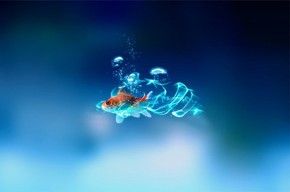 【桌面壁紙】水中小魚