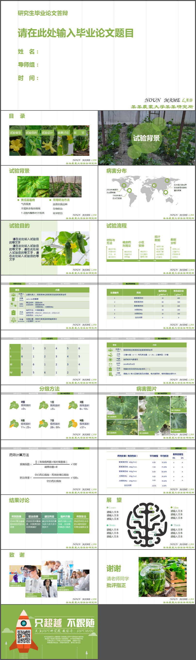 綠色農業(yè)類調研分析類畢業(yè)答辯PPT模板