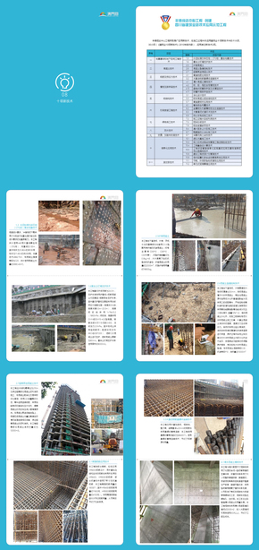 建筑業(yè)新技術應用示范工程宣傳冊（A4可編輯）