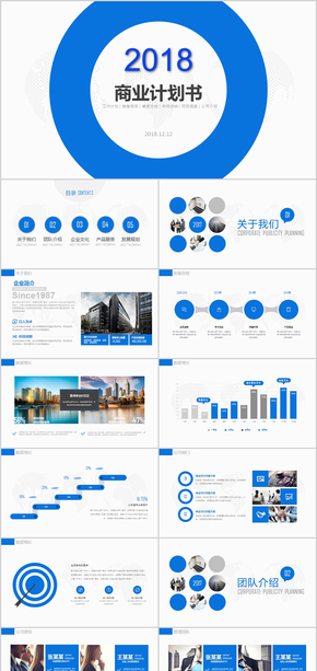 穩(wěn)重內(nèi)容詳細(xì)商業(yè)計(jì)劃書ppt模板
