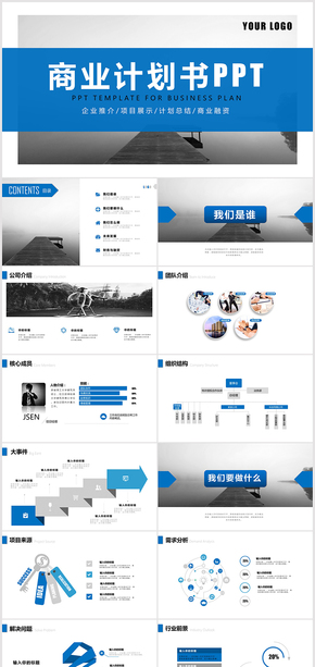 商業(yè)融資計劃書策劃書PPT