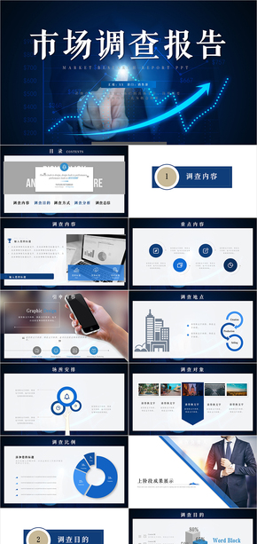 大氣市調報告產(chǎn)品調研分析報告ppt模板