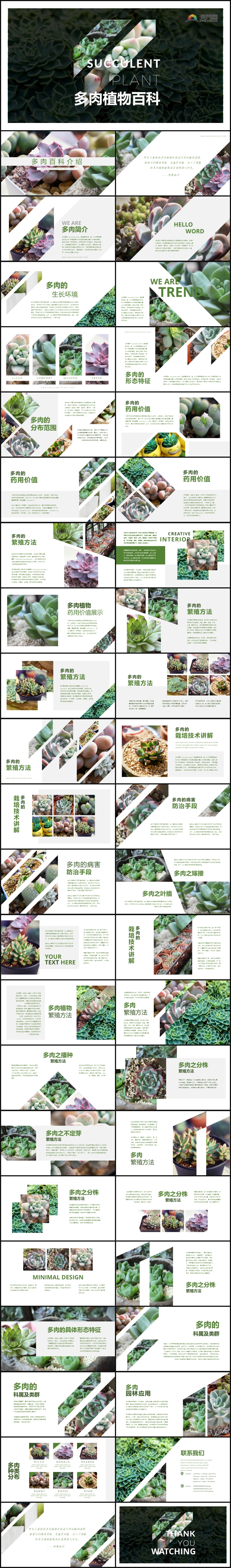 原創(chuàng)綠色清新多肉植物介紹教育課件PPT模板