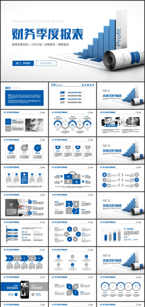 精致財(cái)務(wù)季度報(bào)表工作計(jì)劃總結(jié)ppt模板