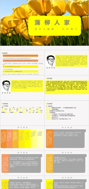 黃色簡約教學課件九下第二單元《蒲柳人家》