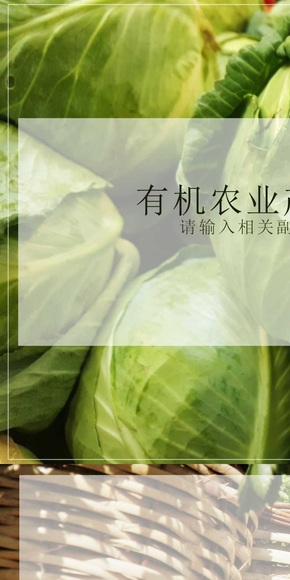 有機(jī)農(nóng)業(yè)產(chǎn)品流通平臺(tái)可行性報(bào)告模版