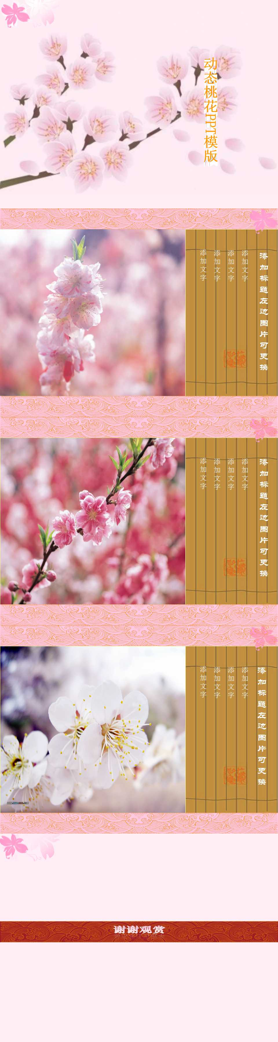 動(dòng)態(tài)桃花PPT模版