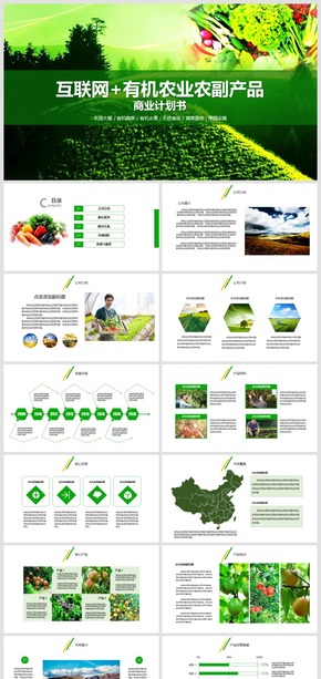 2018互聯(lián)網(wǎng)加有機農業(yè)農副產品推廣商業(yè)計劃書模板